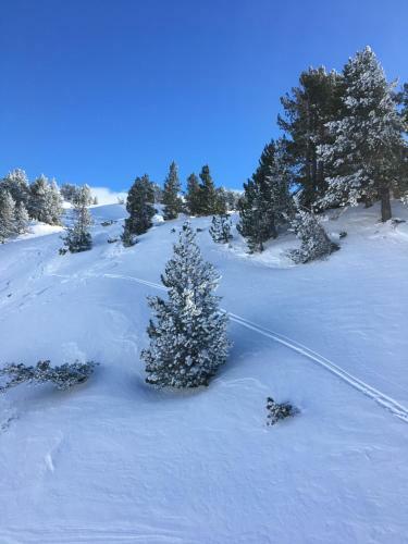 Espacioso Apartamento En El Naut Aran