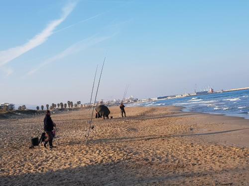 Exclusive Apartment - Playa de Marenys de Rafalcaid