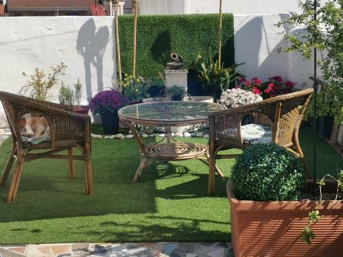 Bed & Breakfast Habitaci�n Centro Gandia
