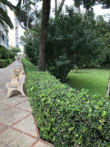 Apartamento Parque 2 Gand�a
