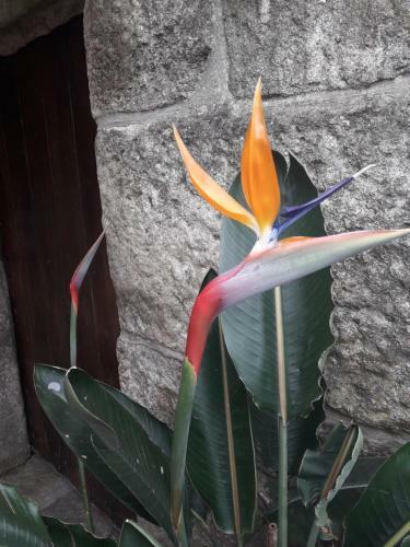 Agroturismo Casa Estarque