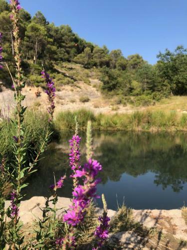 Agroturismo Cal Campas