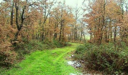Agroturismo Casa Jacobea