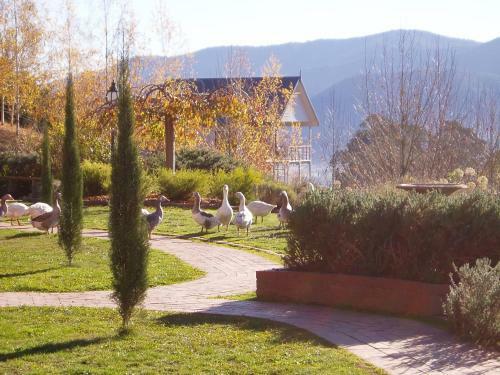 Villa Birches Luxury Spa Chalets