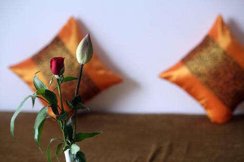 Hotel Sam So Boutique Villa
