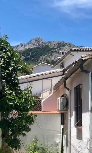 Apartamento Con Terraza