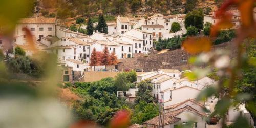 Apartamento Con Terraza