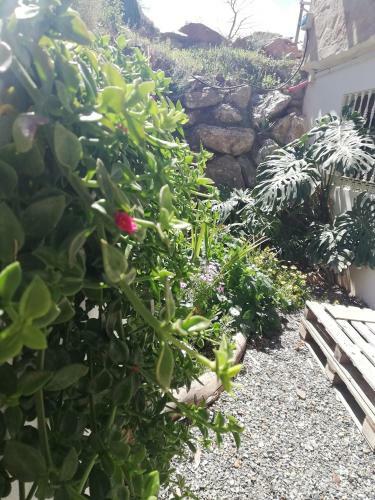 Apartamento Nido Aguila Blanca