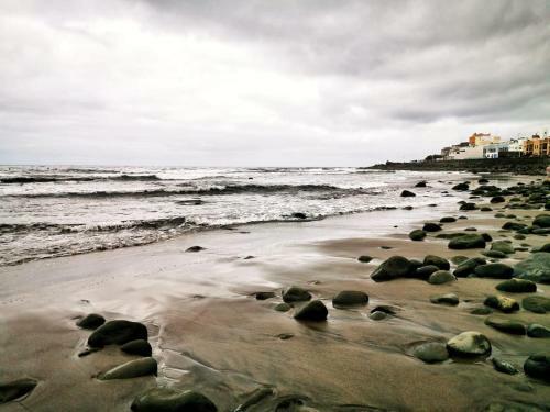 Circo Wave. Un Sue�o En El Mar.