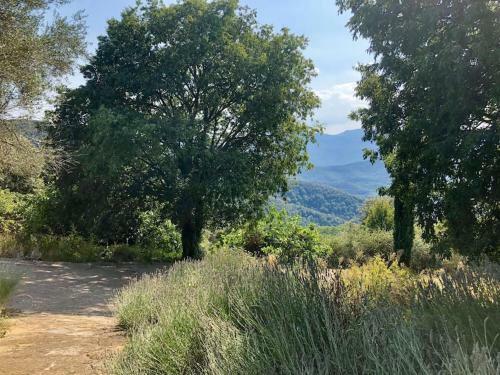 Apartamento Mountain Refuge