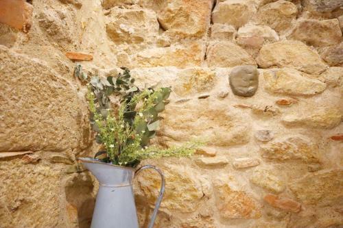 Apartamento Girona Catedral