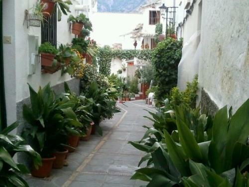 Casa San Tomas
