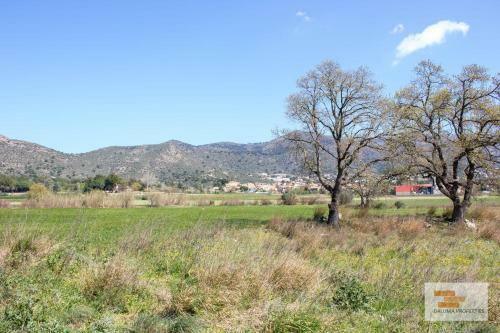La Casita Costa Brava, Pau