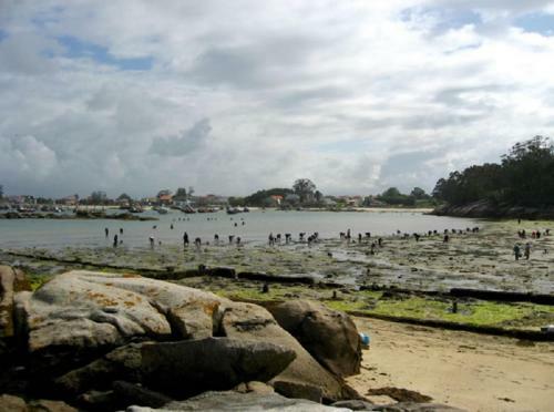 Apartamento A Canteira