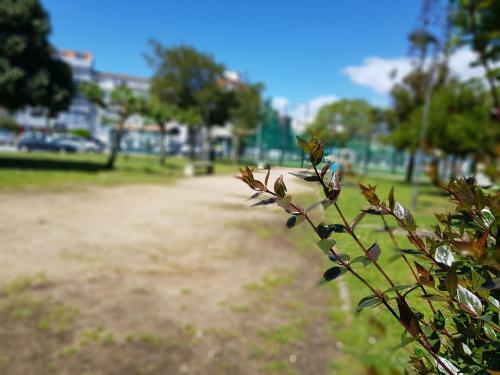 Apartamento Sol E Lua