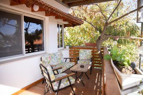 Star Suite - Rural Experience - Northeast Point