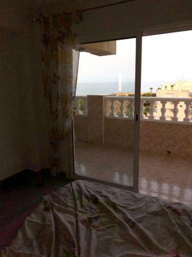 Mimosa Apartment