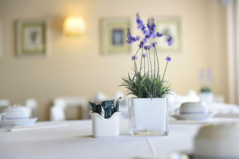 Aparthotel Solverde