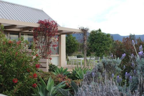 Bed & Breakfast Grapevines Boutique Accommodation