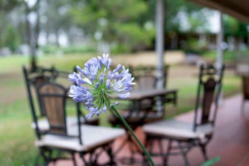 Bed & Breakfast Thistle Hill Guesthouse