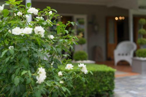 Bed & Breakfast Thistle Hill Guesthouse
