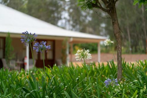 Bed & Breakfast Thistle Hill Guesthouse