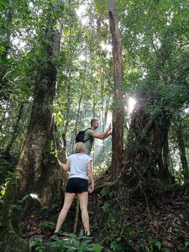 Hostal Evergreen Villa - Sinharaja