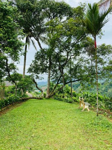 Richiland Tea Estate Bungalow