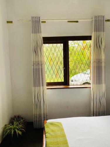 Richiland Tea Estate Bungalow