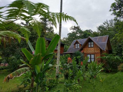 Lodge Canyon Jungle Stay