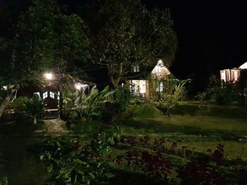 Lodge Canyon Jungle Stay