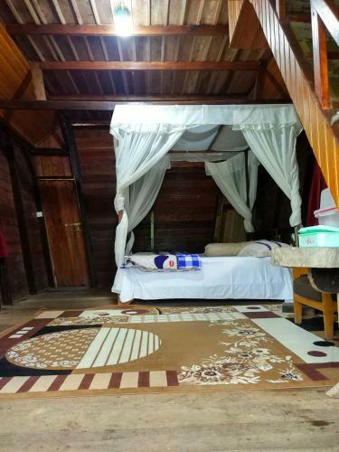 Lodge Canyon Jungle Stay