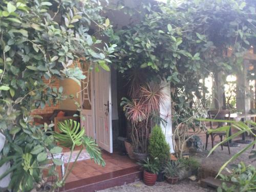 Villa 23 Y�n Th?