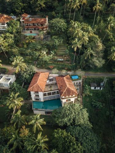 Bed & Breakfast Villa Citrus