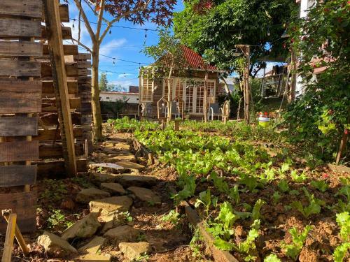 The Burrow Dalat