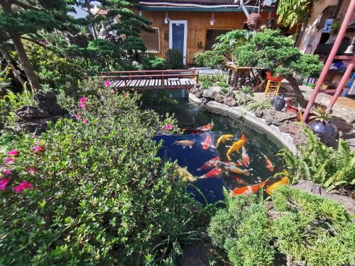 Bed & Breakfast Rom Homestay
