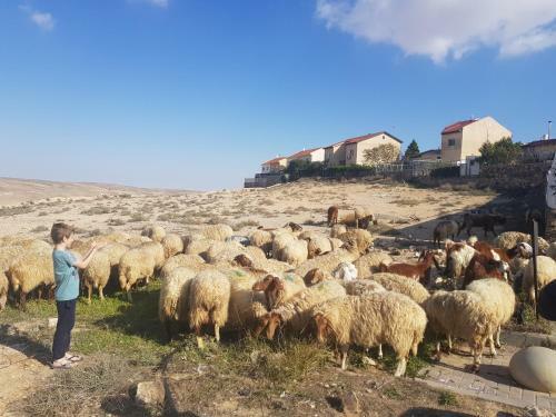 Hostal Sun, Mountain & Adventure