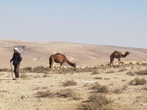 Hostal Sun, Mountain & Adventure
