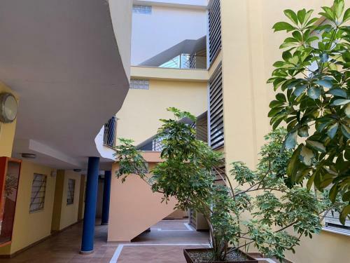 Apartamento Playa San Rafael