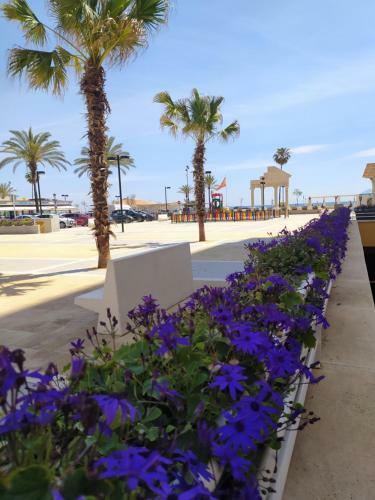 Apartamento Sol Y Mar