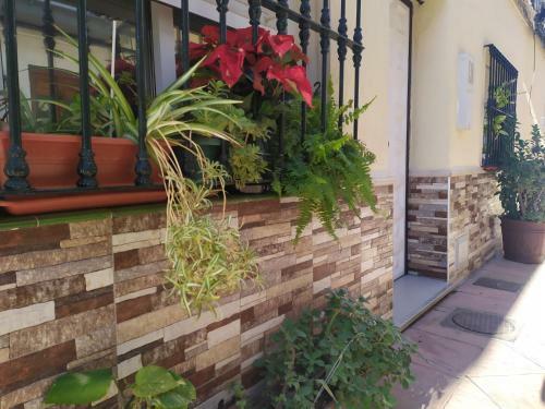 Apartamento Anuli Playa En Fuengirola Centro, Familiar
