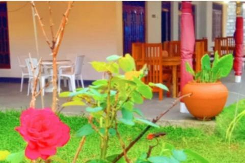 Bed & Breakfast Hiri Moon Villa