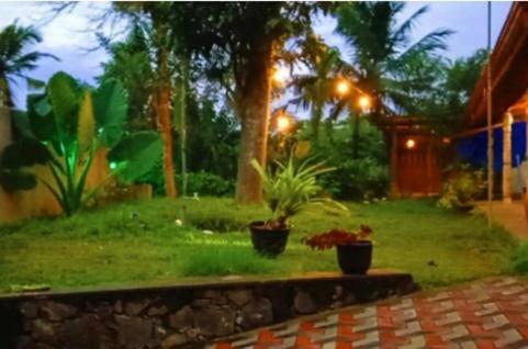 Bed & Breakfast Hiri Moon Villa