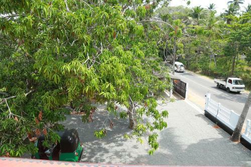Hotel Mango Shade