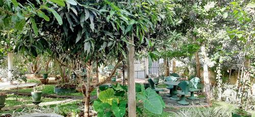 Hotel Cinnamon Garden - Hiriketiya
