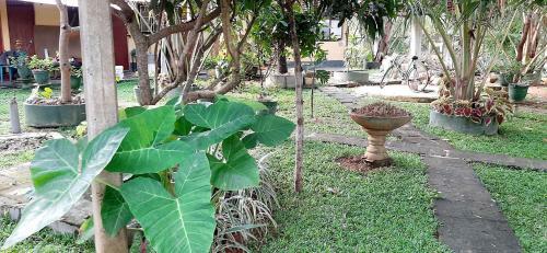 Hotel Cinnamon Garden - Hiriketiya