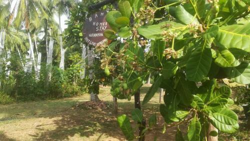Bed & Breakfast Bamboo Home Stay Hiriketiya