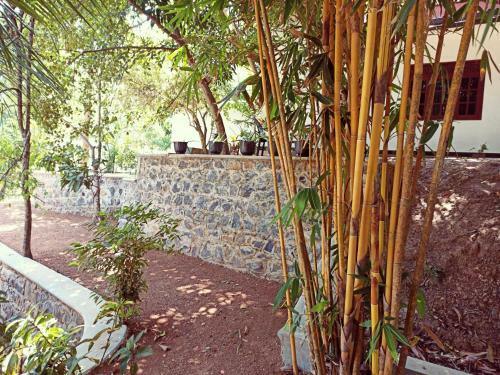Hostal Eco Garden Hiriketiya