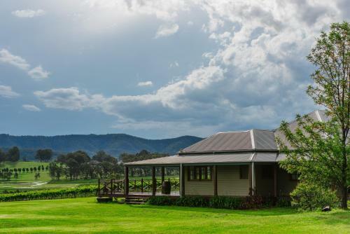 Lodge Hanging Tree Wines