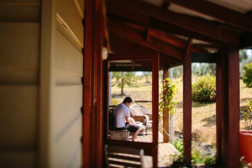 Lodge Hanging Tree Wines